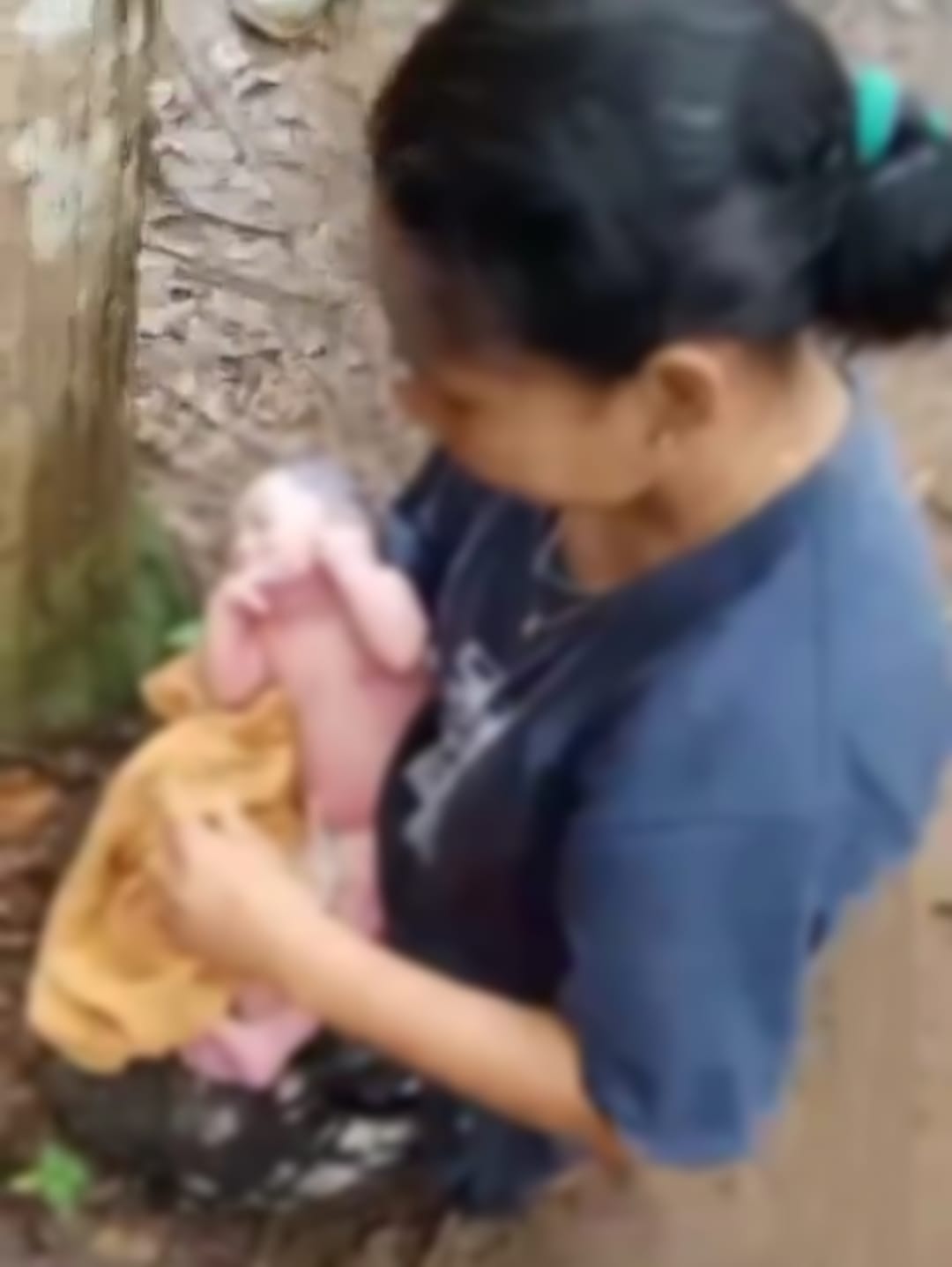 Warga Digegerkan Temuan Bayi Perempuan Di Kebun Karet Desa Bingkulu