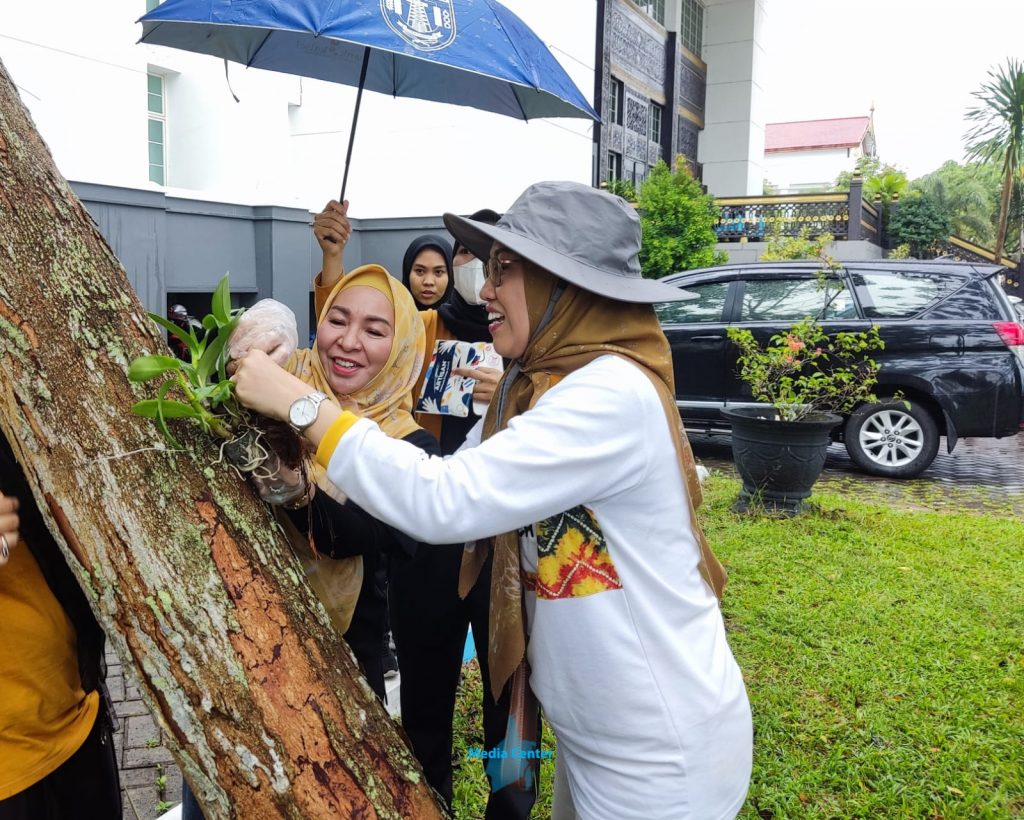 DWP Kalsel Gotong Royong  Sisipkan Anggrek di Pepohonan Pemprov Kalsel