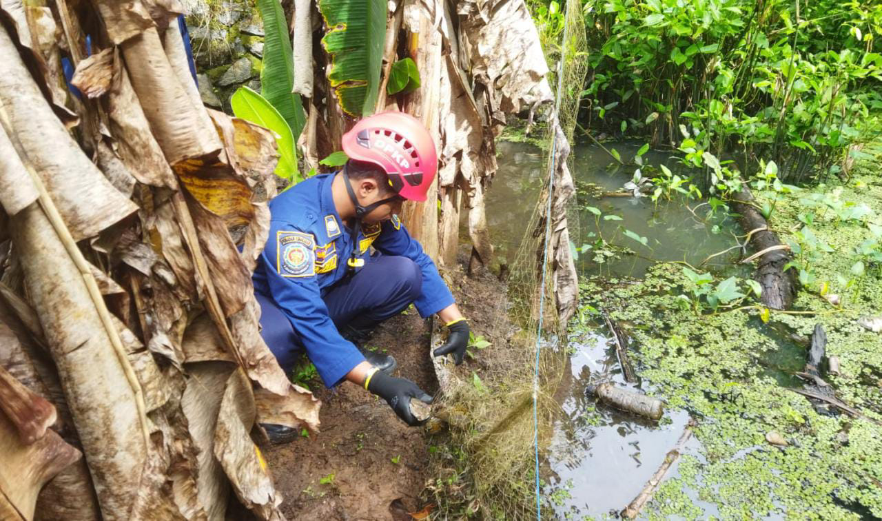 Ular Phyton Nyangkut Jala Ikan Warga Pandak Daun
