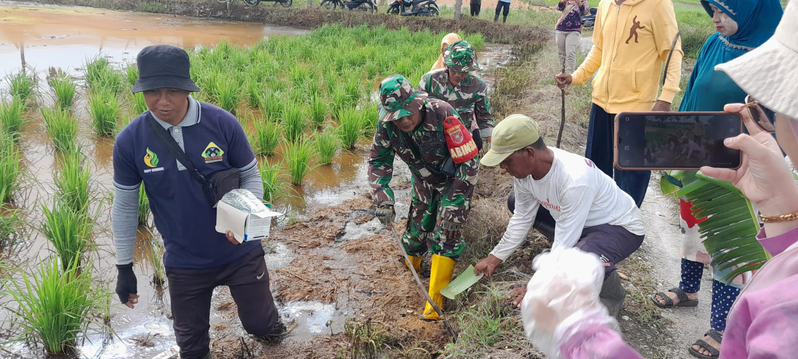 TNI Dan Petani Gotong Royong Basmi Sarang Tikus Di Pemanjatan Gambut