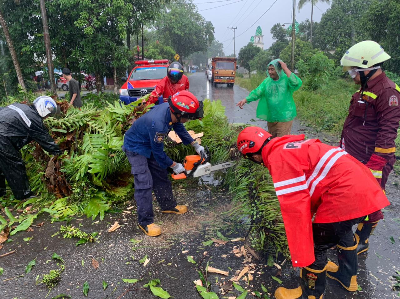 Angin Kencang Robohkan Pohon di Pemajatan Gambut