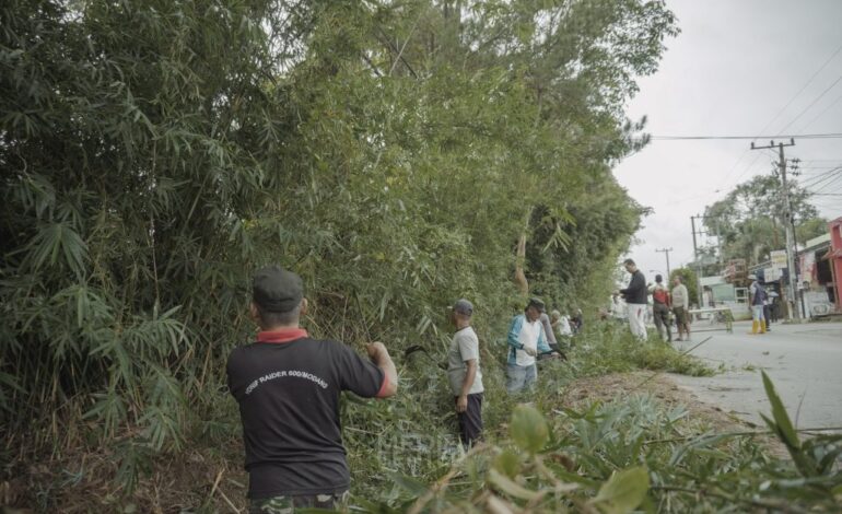 Antisipasi Cuaca Ekstrim,Puluhan Warga Syamsudin Noor dan Laura Gotong Royong Peremajaan Pohon