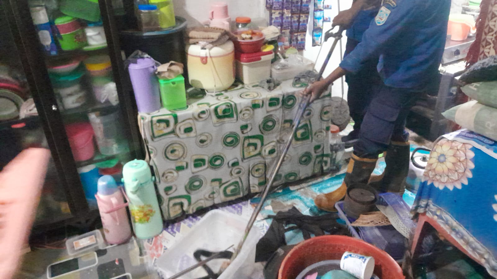 Ular Cobra Gegerkan Warga Gang Sanubari Kelurahan Keraton