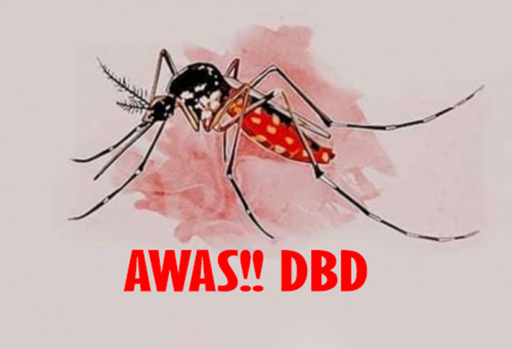 WASPADA  41 Warga Banjarbaru Terpapar DBD, Landasan Ulin Timur Terbanyak