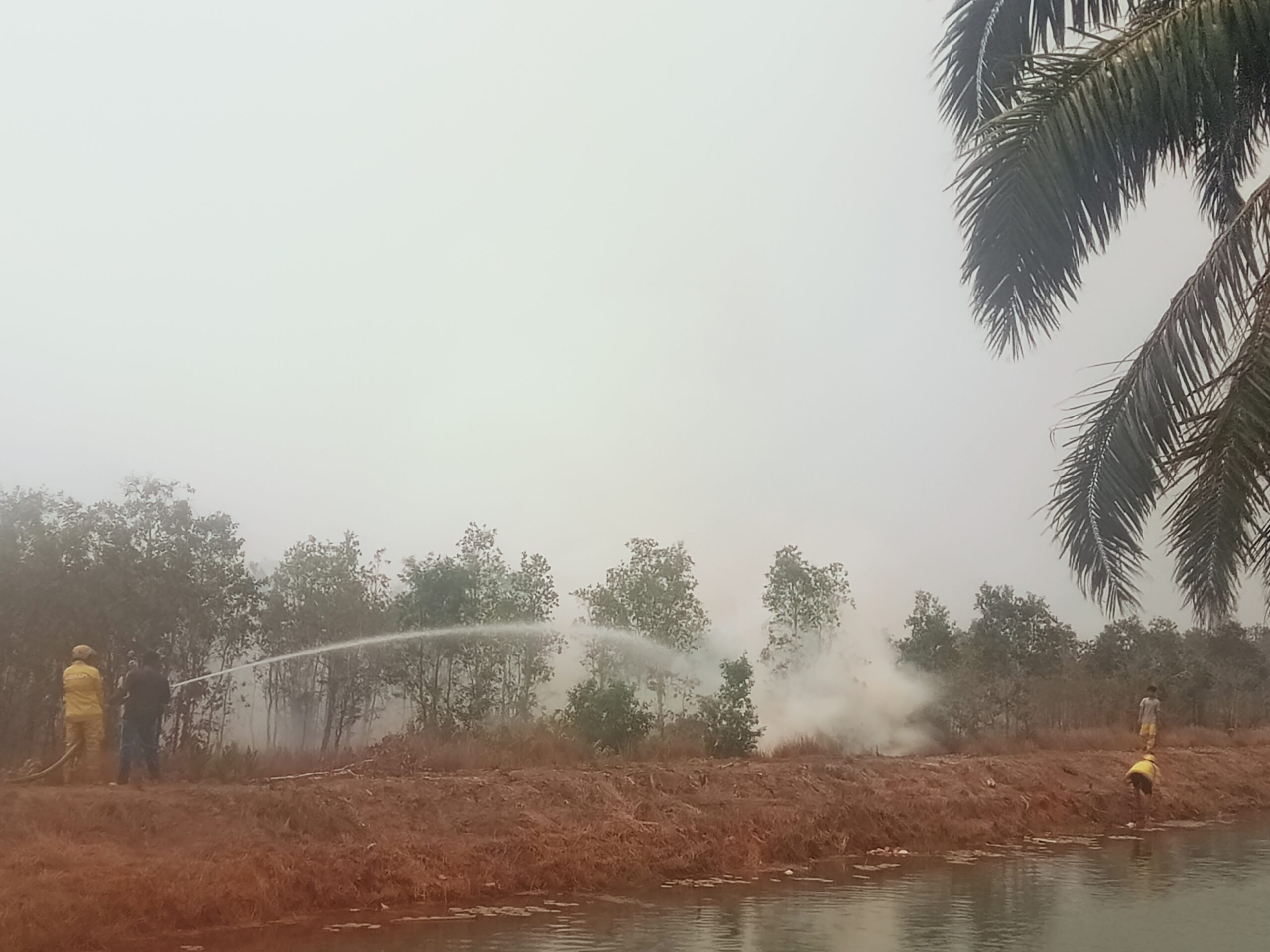 Karhutla Hantui Warga , Beberapa Titik Karhutla Terjadi Hampir Serentak