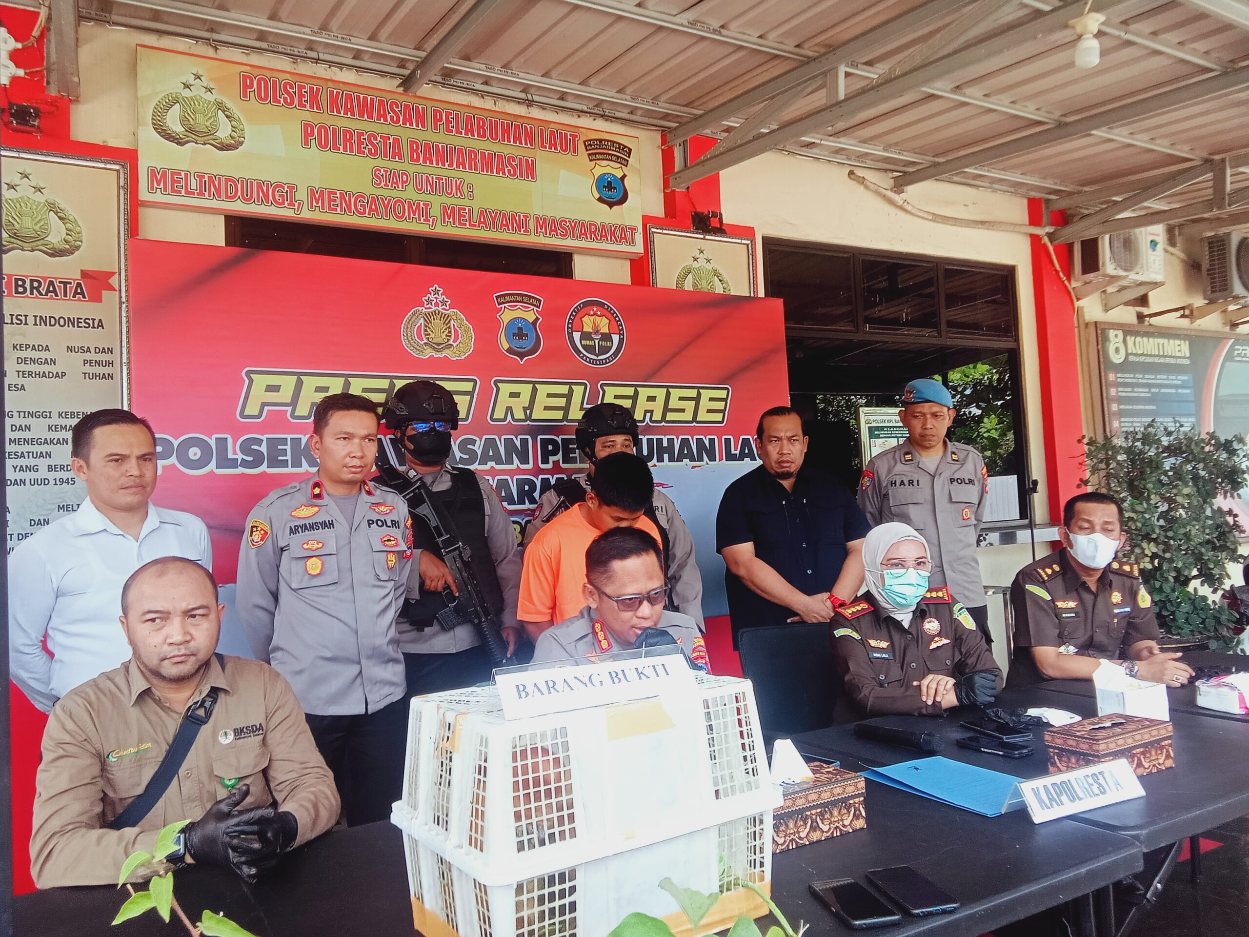 Polsek KPL Polresta Banjarmasin Berhasil Mencegah Penyelundupan Satwa Dilindungi