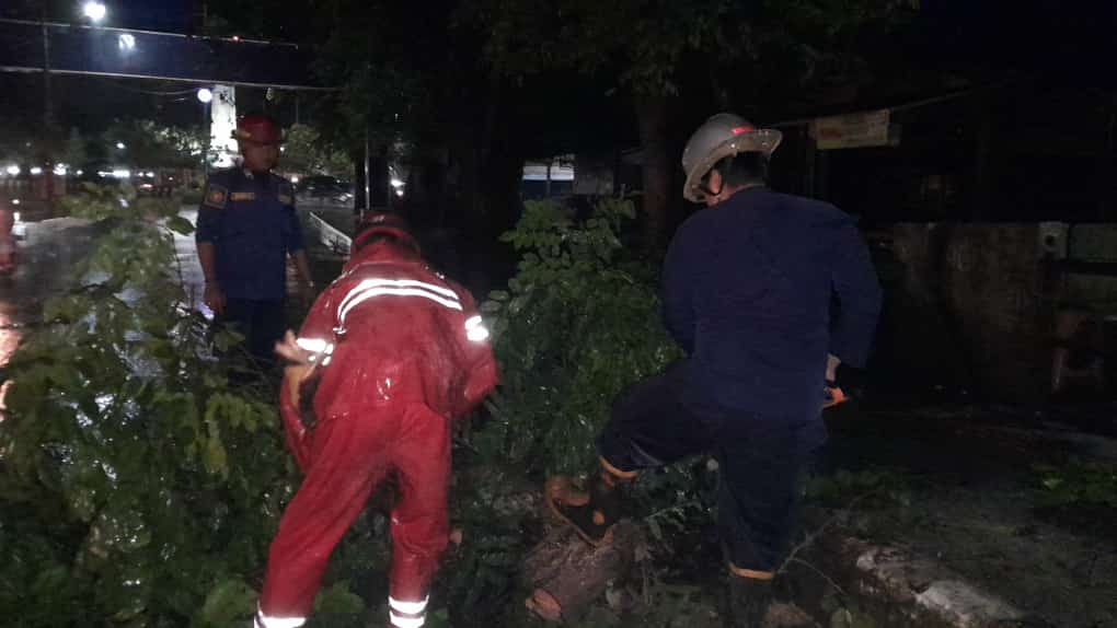 Pohon Roboh Akibat Diterjang Angin Kencang di Murung Pasar