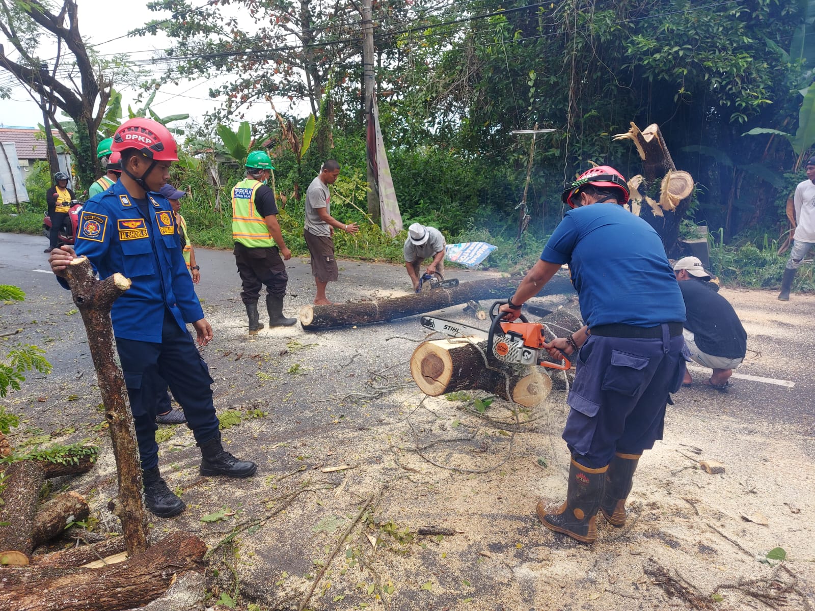 Bahayakan Pengguna Jalan, Petugas Evakuasi Pohon Tumbang di Jalan Veteran Martapura
