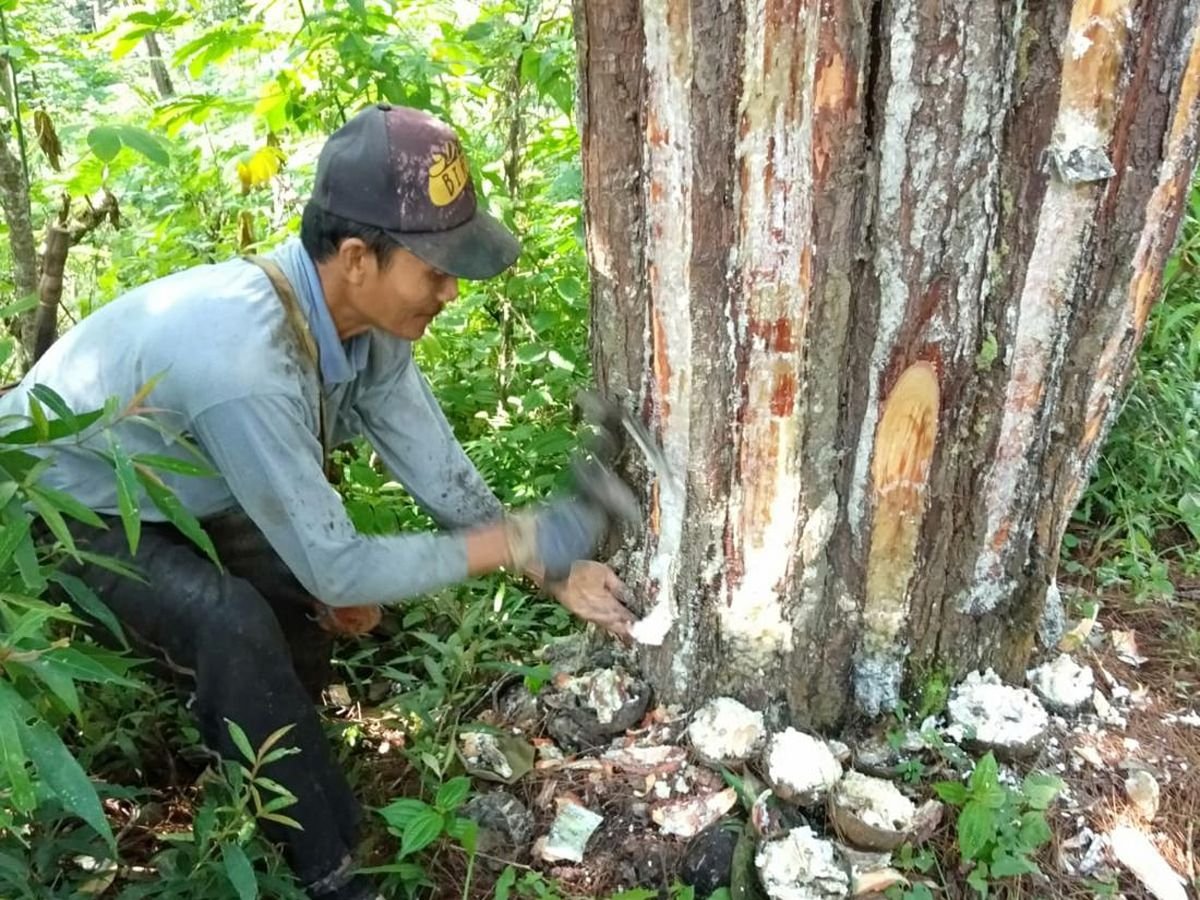 Suplai Bahan Baku Karet Terbatas di Kalsel