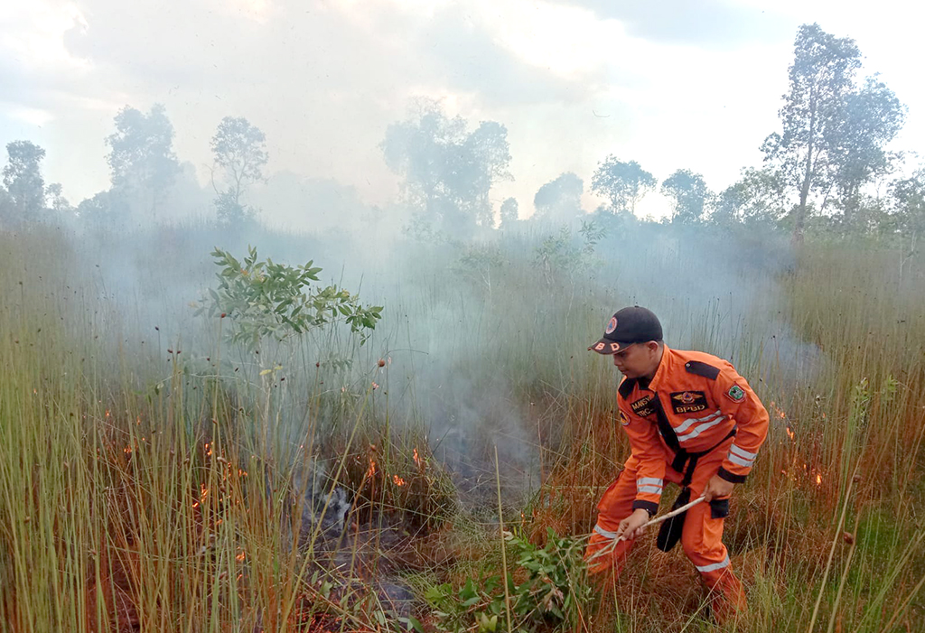 Kementerian LHK Klaim Berhasil Turunkan Kebakaran Hutan dan Lahan