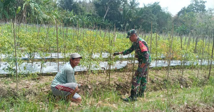 Generali Indonesia Lindungi 10 Ribu Pelari Lokal Dan Mancanegara Di ...