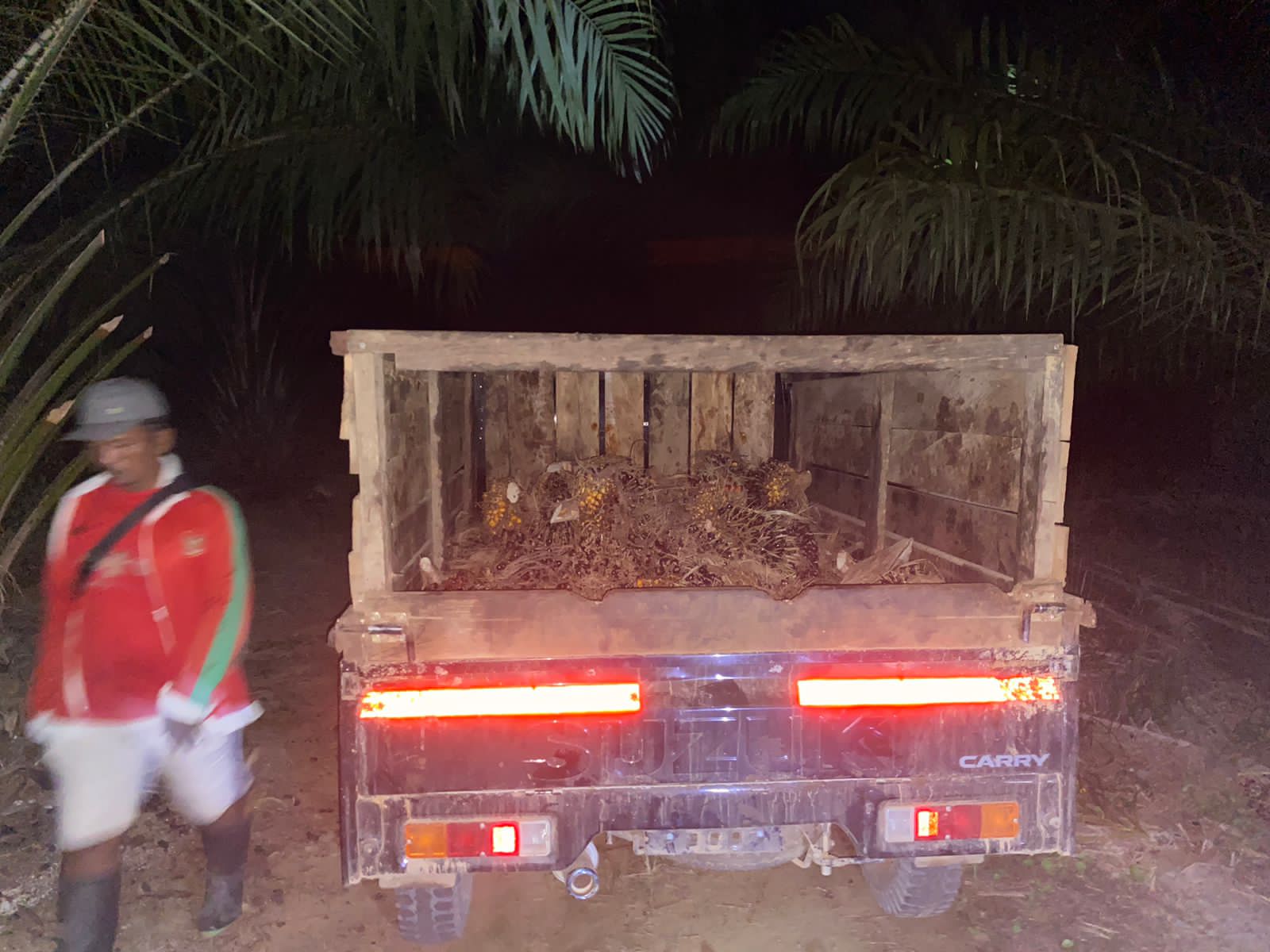 Pencuri Kepergok Mengangkut Ratusan Kilogram TBS Sawit PT SKIP