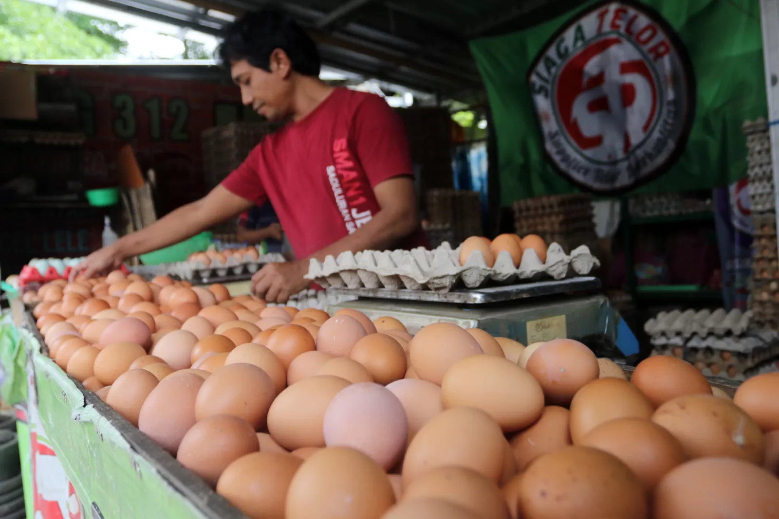 Di Pasaran Terpantau Harga Telur Ayam Ras Variatif