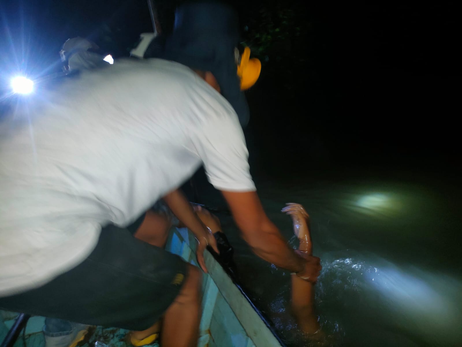 Buaya Menerkam Bocah dan Bapaknya Saat Perbaiki Tanggul Tambak
