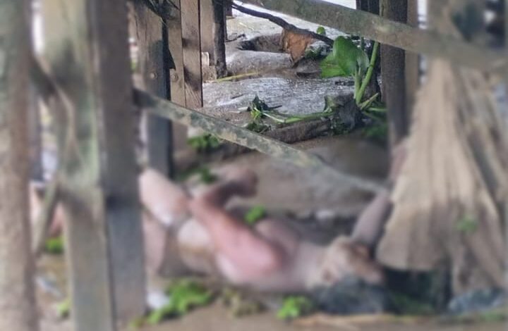 Warga Antasan Bondan Banjarmasin Digegerkan dengan Temuan Mayat di Kolong Rumah
