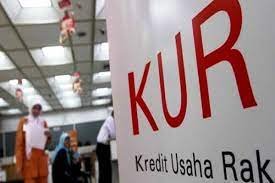 Penyaluran KUR di Kalsel Capai Rp3,65 Triliun kepada 63.088 Debitur 