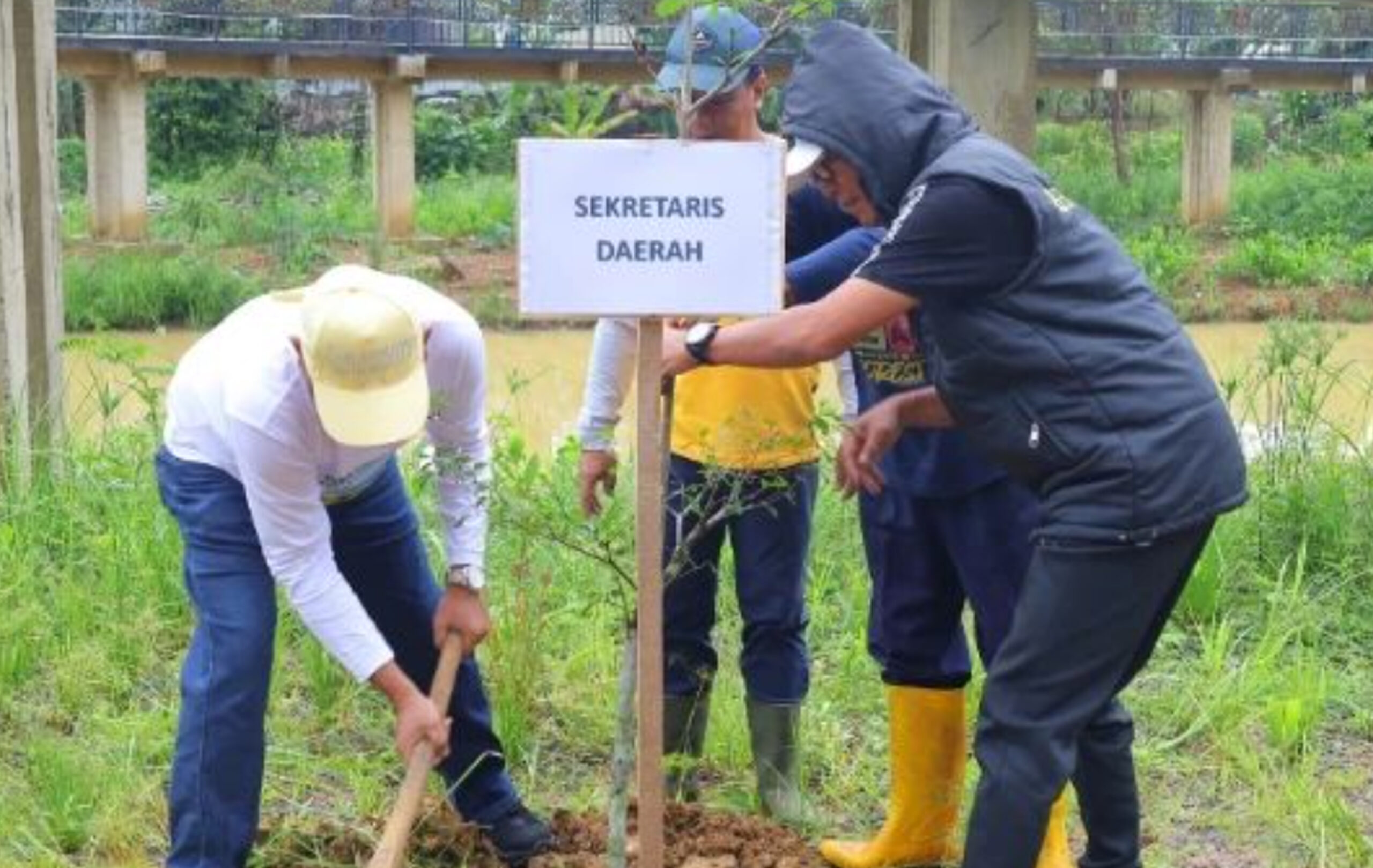 DPRKPLH Tala Lakukan Aksi Taman Pohon Di Siring Mina Tirta