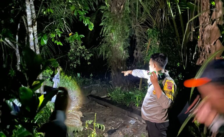 Bersihkan Kaki di Sungai, Warga Batulicin Tewas Diterkam Buaya
