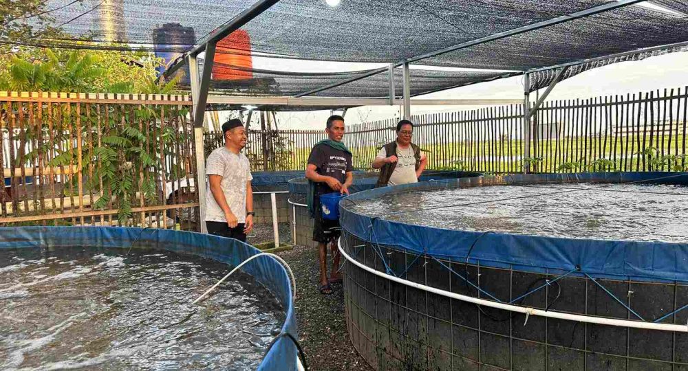 Paman Birin Beri Motivasi Peternak Ikan Air Tawar