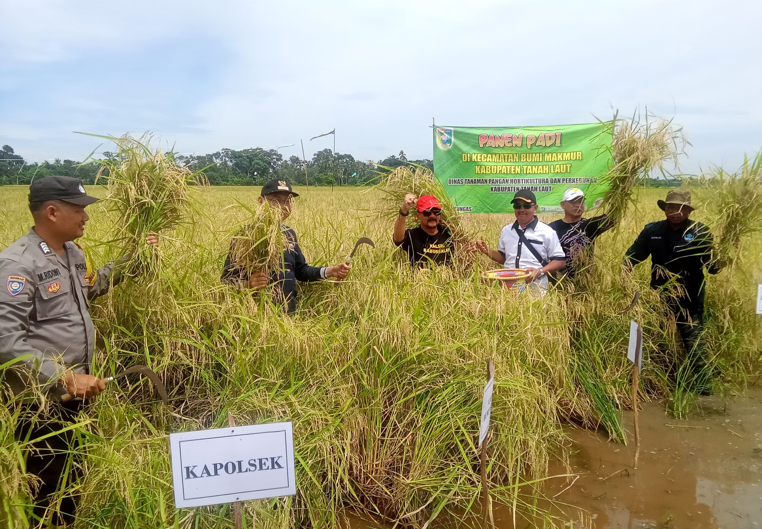 Harga Tetap, Harga Pantas: Pj Bupati Tala Ajak Petani Pertahankan Nilai Padi