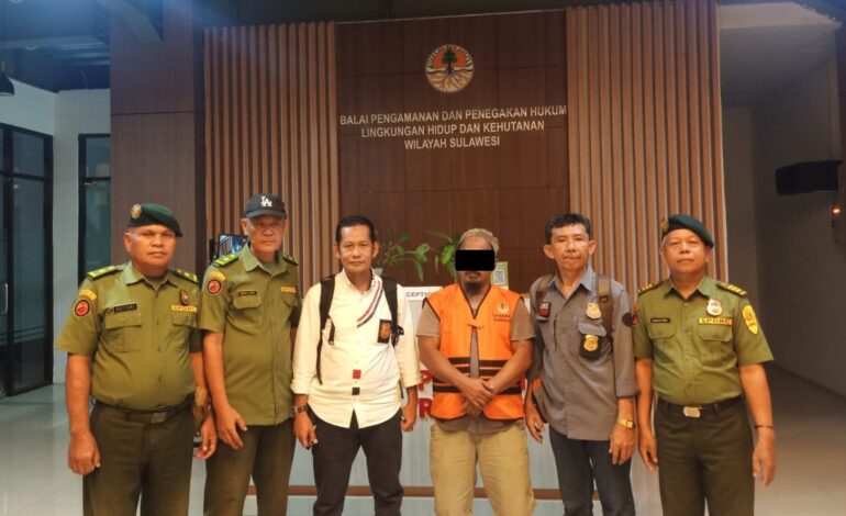 Balai Gakkum KLHK Wilayah Sulawesi, berhasil mengamankan seorang makelar kayu ilegal berinisial TN (38) yang beralamat di Desa Baruga Kecamatan Towuti Kabupaten Luwu Timur, Provinsi Sulawesi Selatan.