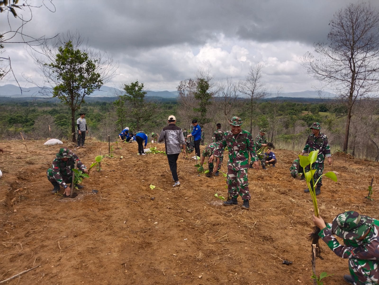 Penanaman 1.000 Bibit Kopi Untuk Penghijauan di Bukit Petruk
