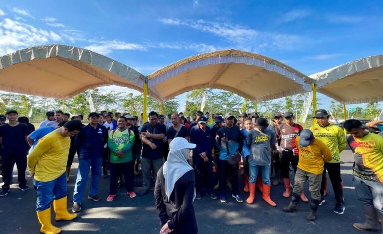 Pemprov Kalsel Gelorakan Hari Kartini Lebih Hijau dengan Penanaman Pohon Bersama