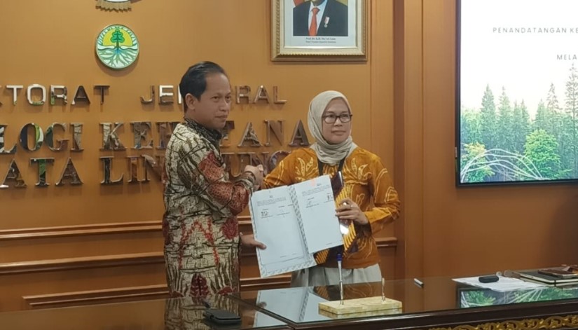 Gubernur Sahbirin Noor Dorong Penanaman Hutan: Kontribusi Pemprov Kalsel untuk Masa Depan