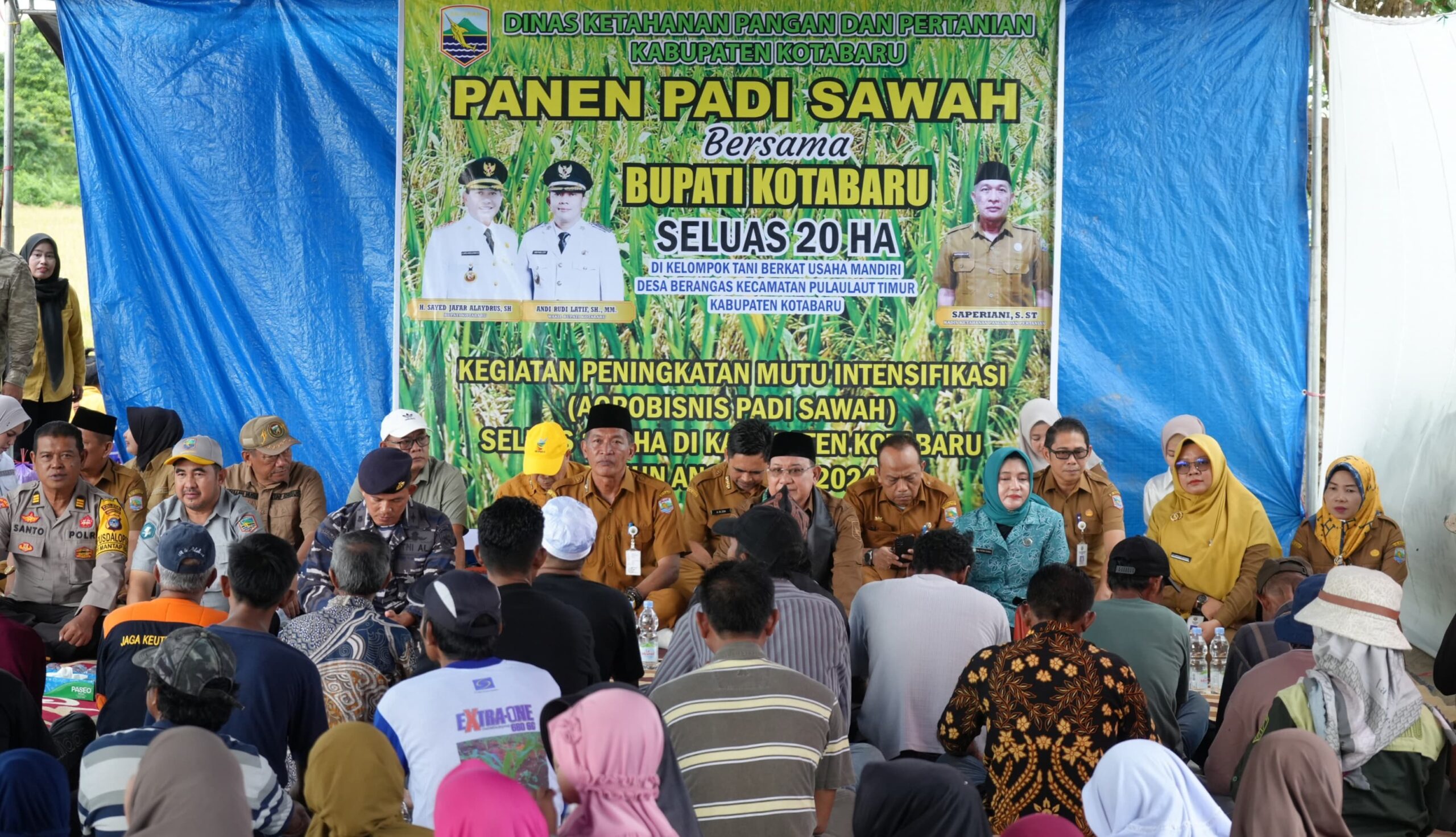 Pemkab Kotabaru Tingkatkan Mutu Intensifikasi Padi