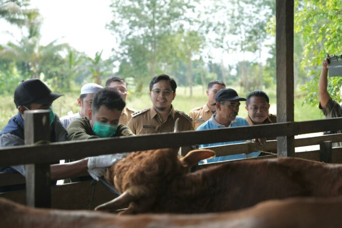 Bupati HST Ingatkan Jaga Kualitas Pemotongan Hewan Kurban