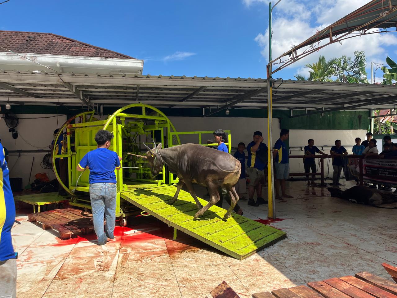 Masjid Al Jihad Banjarmasin Potong 89 Ekor Hewan Qurban, Dibagikan ke Belasan Ribu Warga