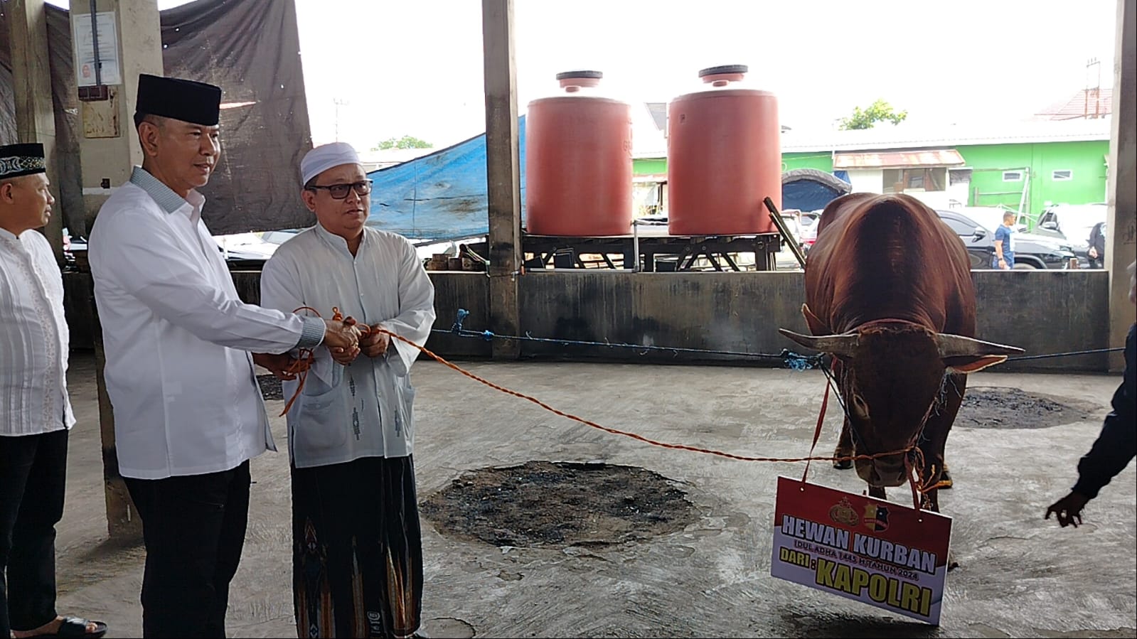 Kapolda Kalsel Serahkan Sapi Kurban Limousine dari Kapolri ke Sekumpul, Kapolda : Pupuk Nilai Gotong Royong dan Persatuan