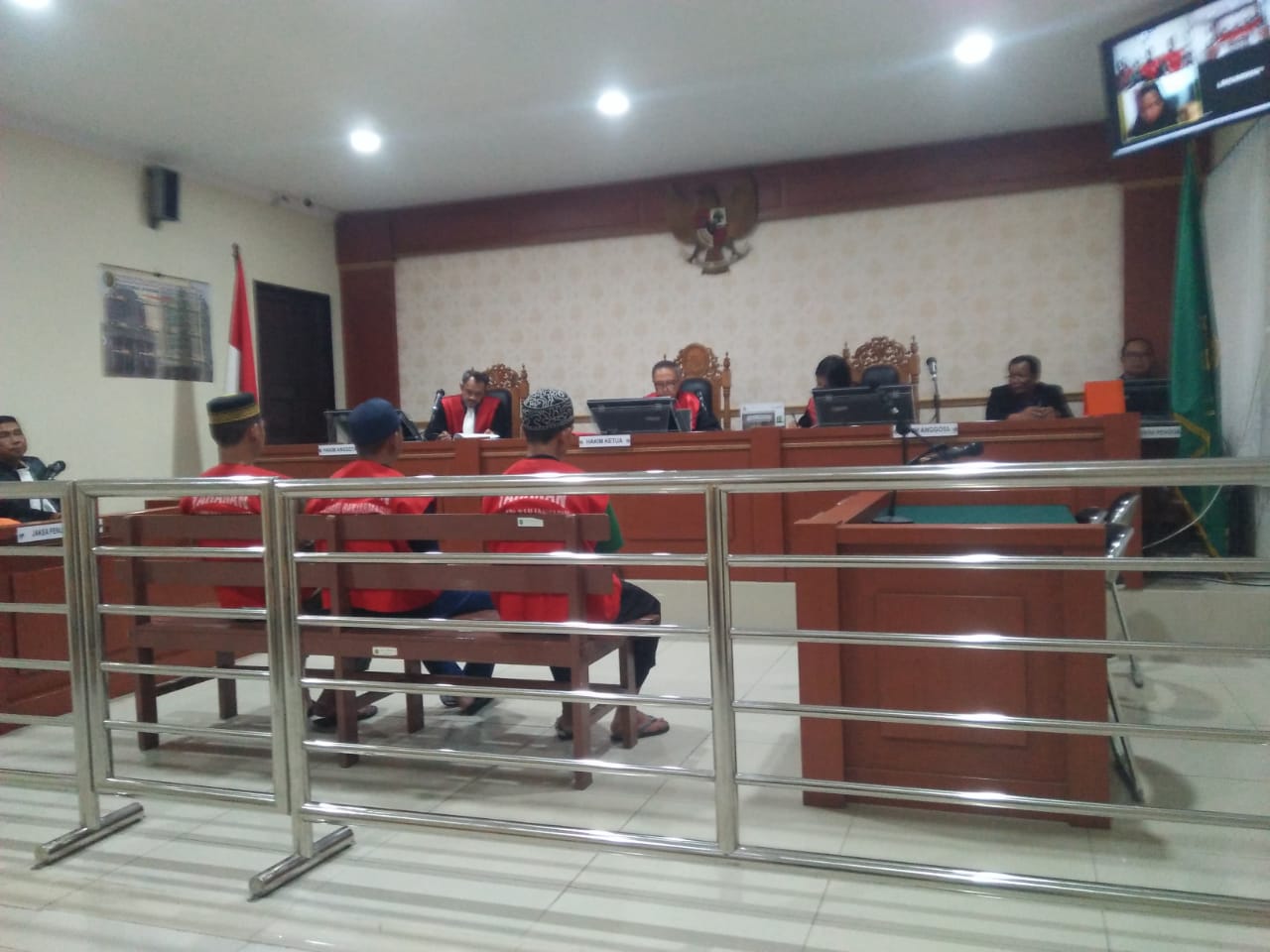 Terlibat Jual Beli Burung Cucak Ijo, 4 Terdakwa Divonis 5 Bulan Penjara