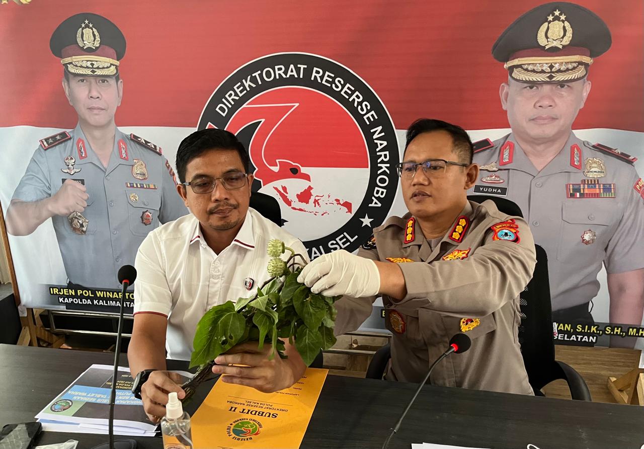 Ramai Beredar Video Mabuk Kecubung, Berikut Langkah Yang Diambil Polda Kalsel