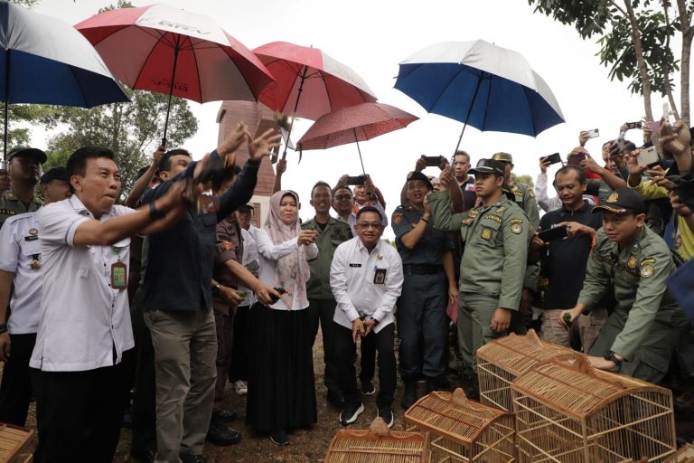 Pelepasan 5.004 Burung Hasil Sitaan dan Satwa Liar di Tahura Sultan Adam