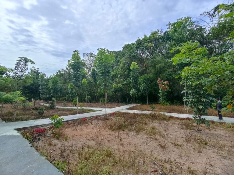 Pemkab Balangan Tingkatkan Estetika Hutan Kota