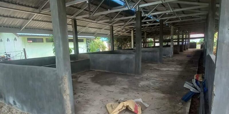 Pemkab Balangan Kembangkan Sarana Prasarana Peternakan