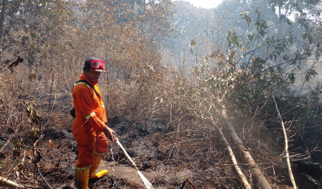 Antisipasi Karhutla, MPA Laura Lakukan Pembasahan Lahan di Kawasan Bandara dan Hutan Lindung