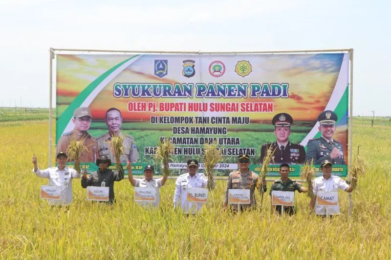 Pj Bupati HSS Hadiri Syukuran dan Panen Padi Bersama Poktan Cinta Maju
