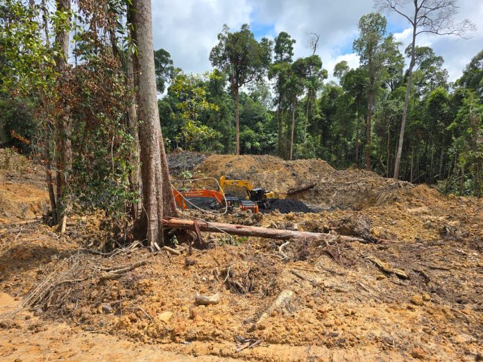 Petugas Temukan Empat Alat Berat Tambang Ilegal di Gunung Tabur