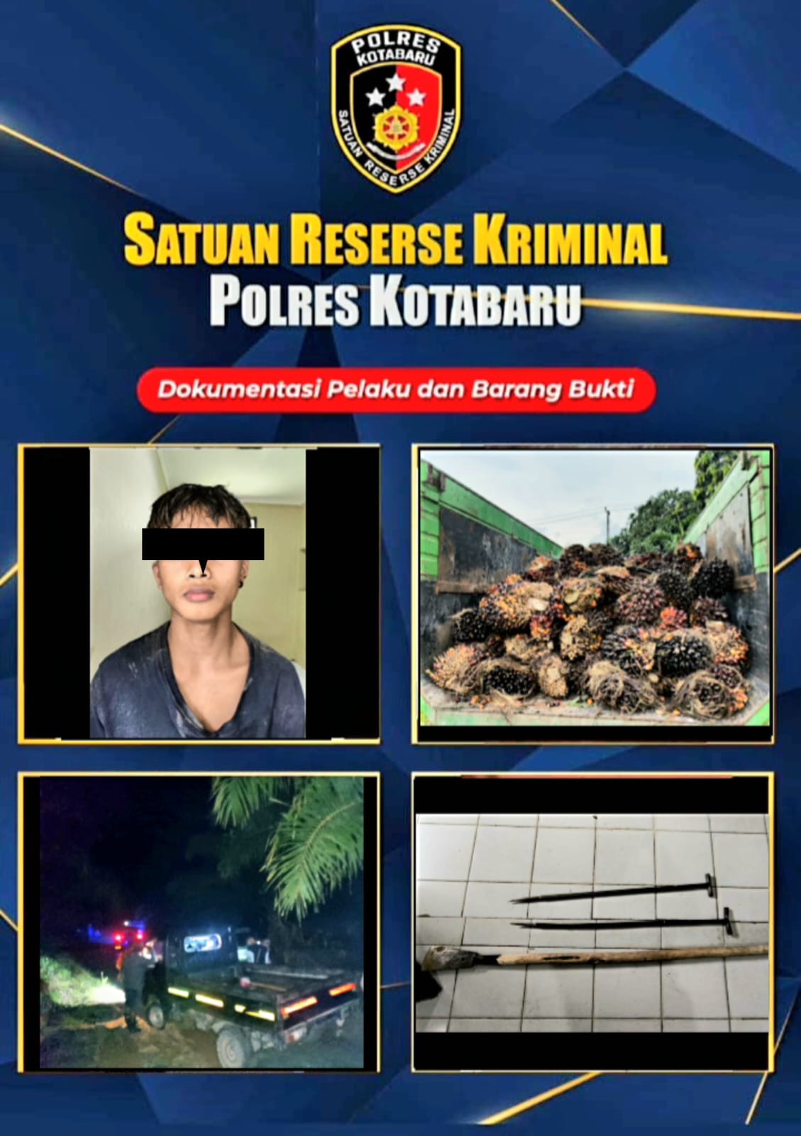 SKIP Sungai Panci Rugi Rp5 Juta Akibat Pencurian Buah Sawit