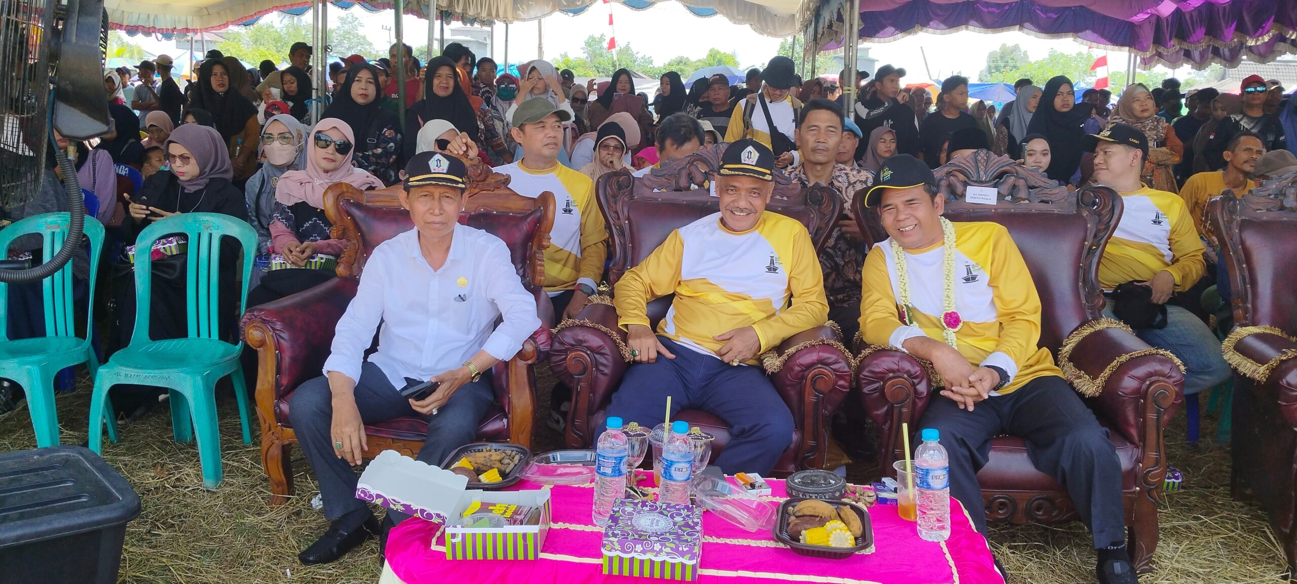 Wakil Ketua DPRD Batola Hadiri Festival Nanas di Mekarsari