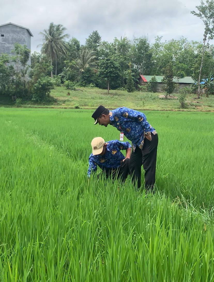 Pj Bupati Tala Tinjau Lahan Pertanian di Desa Bumi Jaya: Dukung Ketahanan Pangan