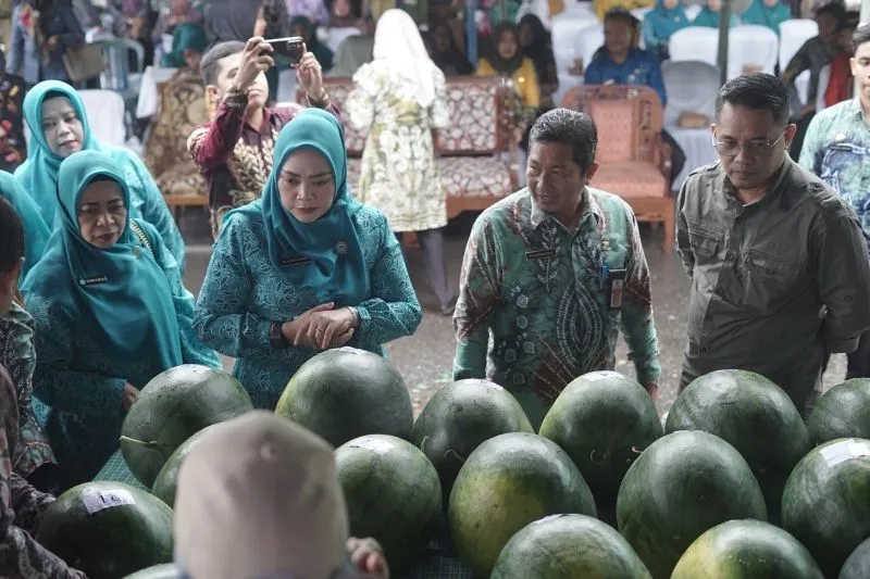Pemkab HSS Gelar Kontes Buah Semangka