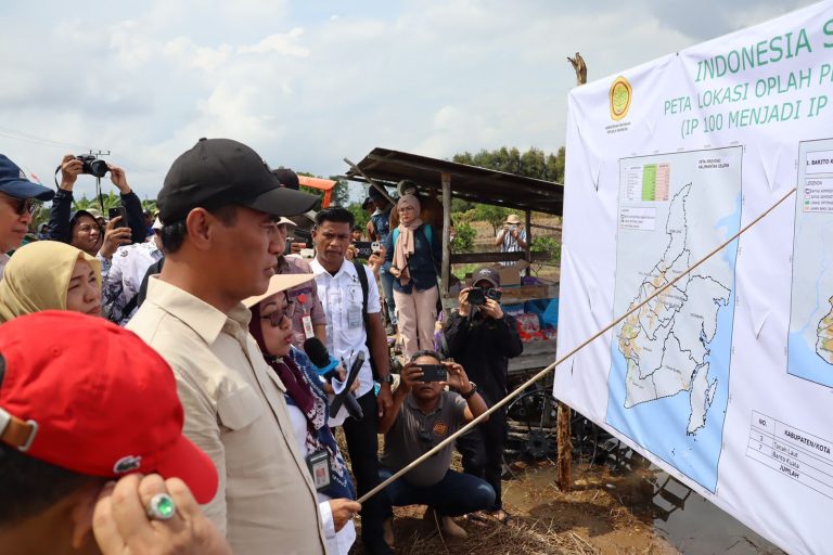 Menteri Amran Sebut 1.000 Milenial Lebih Turun ke Pertanian di Kalsel