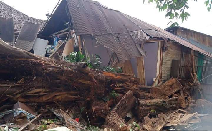 3 Rumah Rusak Tertimpa Pohon Beringin di Balangan