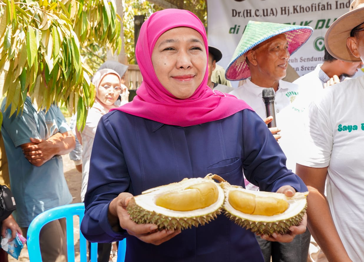 Peluang Besar Ekspor Durian Black Thorn dan Musang King ke Tiongkok