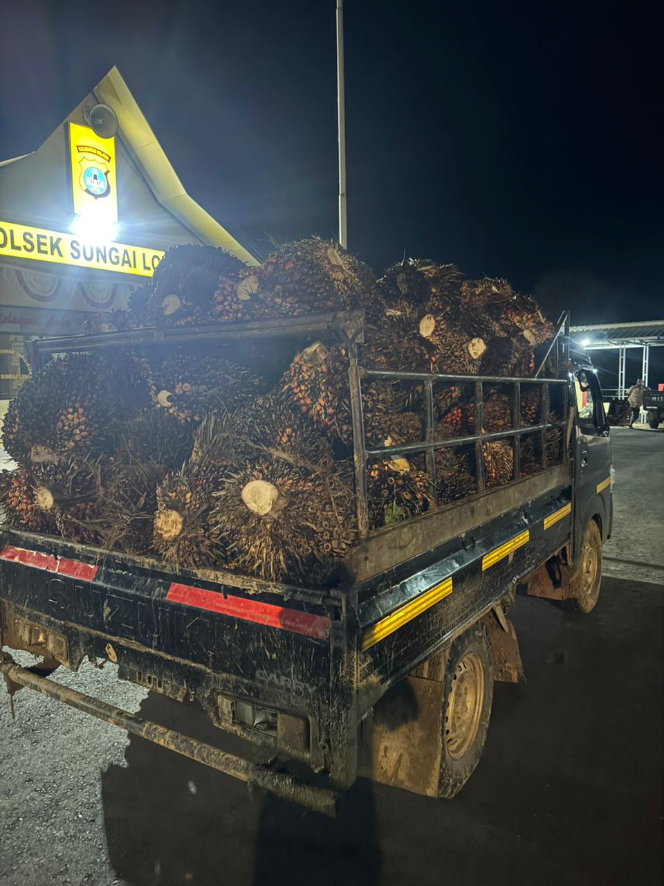 Polisi Tangkap 3 Pencuri Buah Sawit Yang Merugikan Petani