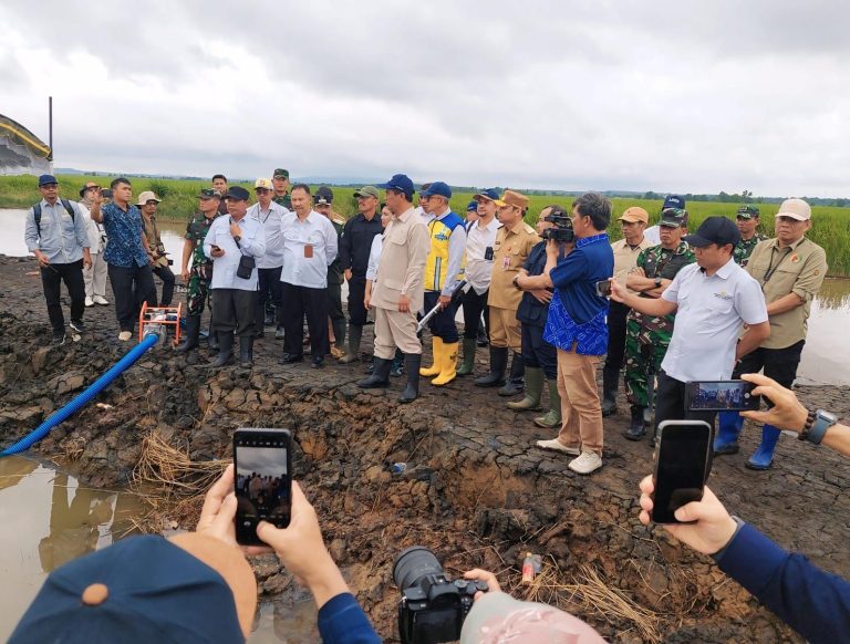 Menteri Amran Tinjau Lokasi Cetak Sawah di Tanah Laut
