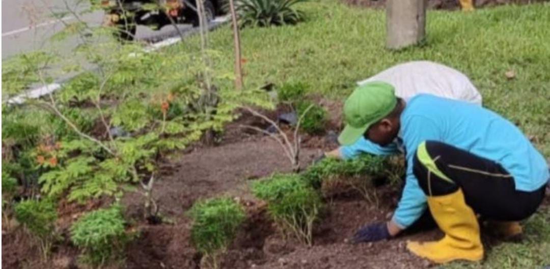 Pemkot Palangka Raya Terus Tingkatkan Kualitas Ruang Terbuka Hijau